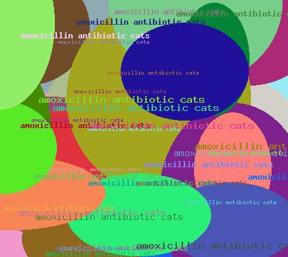 AMOICILLIN ANTIBIOTIC CATS